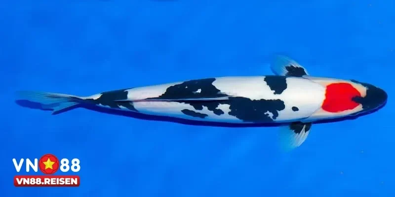 Chế độ chơi bắn cá koi phù hợp với mọi game thủ